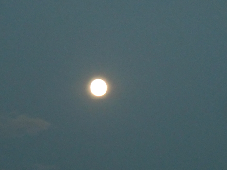 c0236632_845553.jpg