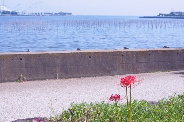 a0318033_22195086.jpg
