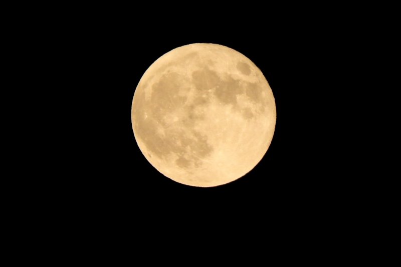 a0017634_0105936.jpg