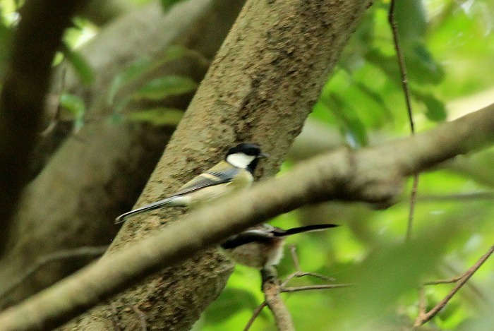 f0327034_20400591.jpg