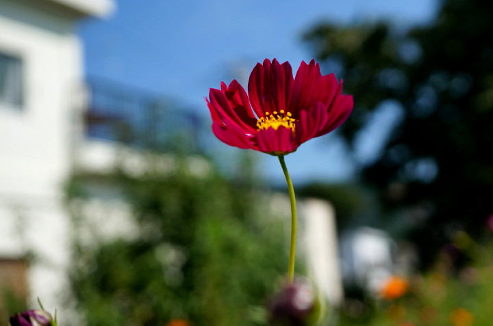 d0241937_16555549.jpg