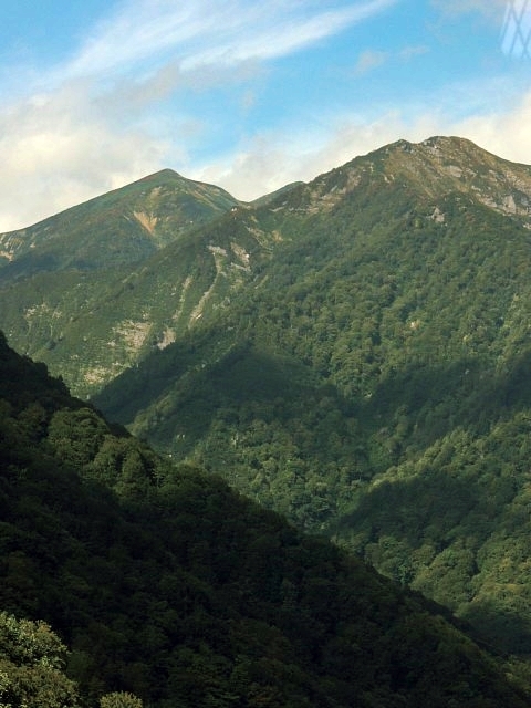 b0122448_12493067.jpg