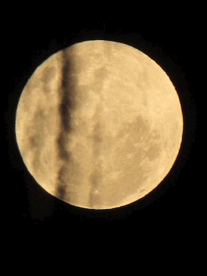 c0063348_15184113.gif