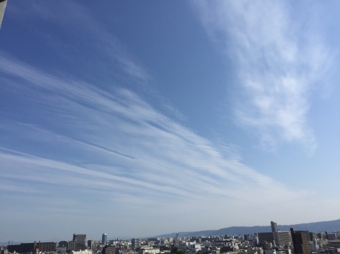 d0205250_18260924.jpeg