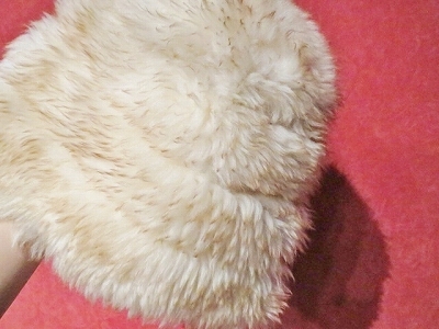 a0159652_13493301.jpg