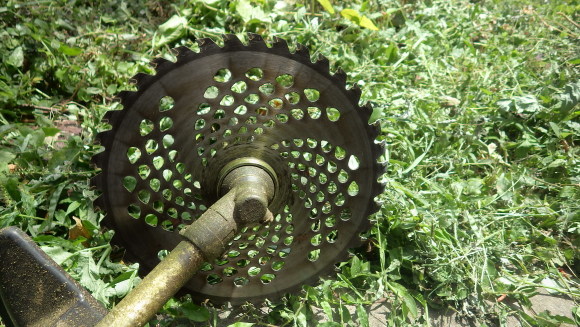 f0201157_12221159.jpg