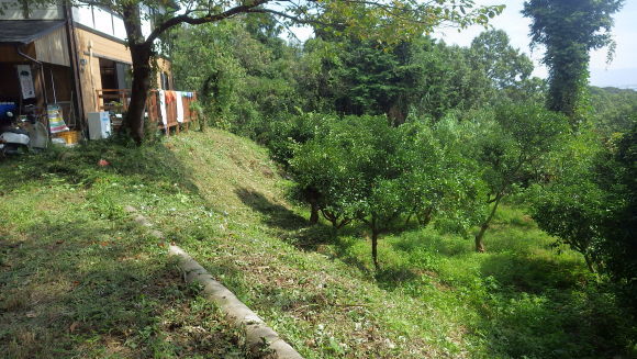 f0201157_12225361.jpg