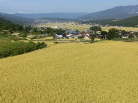 b0218664_1715979.jpg