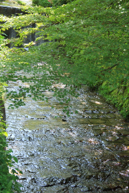 b0055171_06571.jpg