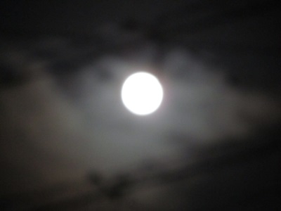 b0149071_16444152.jpg