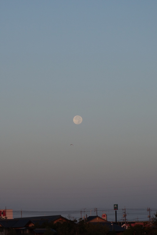 c0216472_176050.jpg