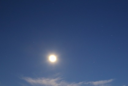 e0161972_920549.jpg