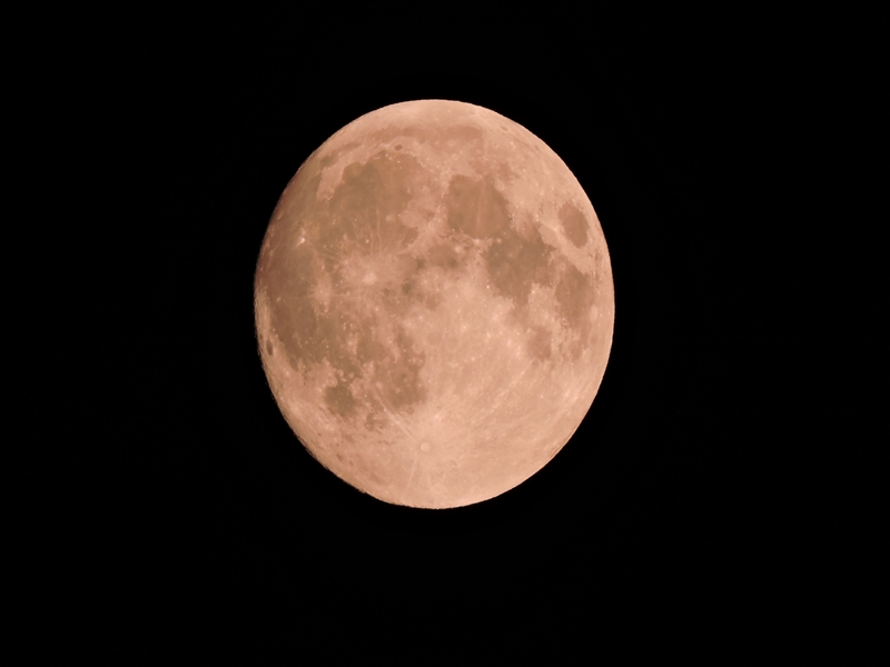 e0351973_2014441.jpg