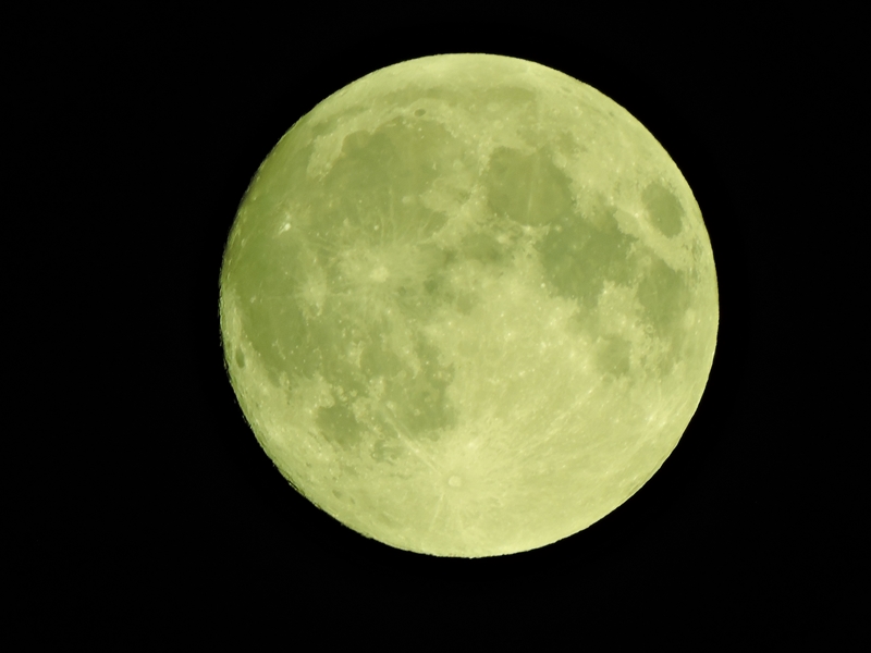 e0351973_20145984.jpg