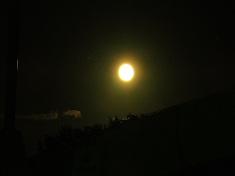 e0351973_20205713.jpg