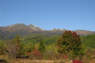 f0182173_1192311.jpg