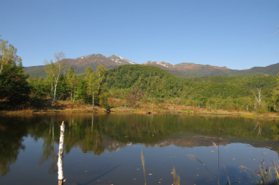 f0182173_119468.jpg