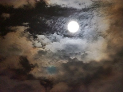 e0264374_13210493.jpg