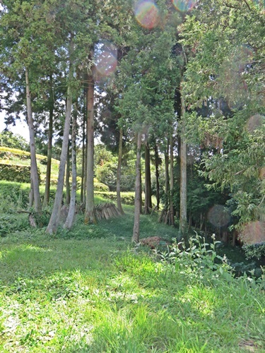 e0264374_15042440.jpg