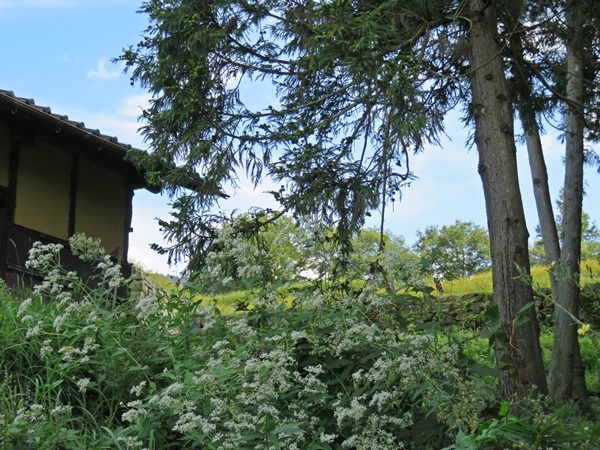 e0264374_15043791.jpg