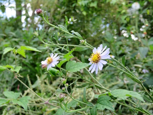 e0264374_15044437.jpg