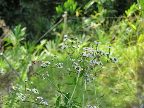 e0264374_15050045.jpg