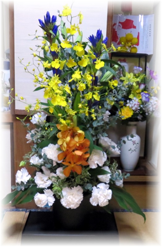 f0003174_19132015.jpg