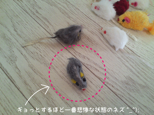 a0308381_13221123.jpg