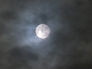 e0130185_112509.jpg