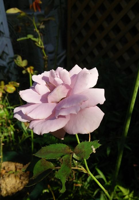 b0091187_23372422.jpg