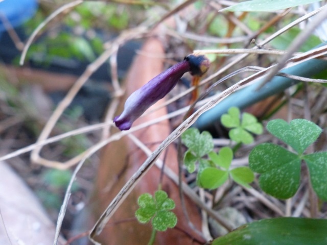f0357487_234116100.jpg