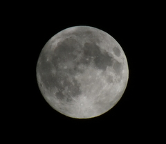 b0192588_9421870.jpg