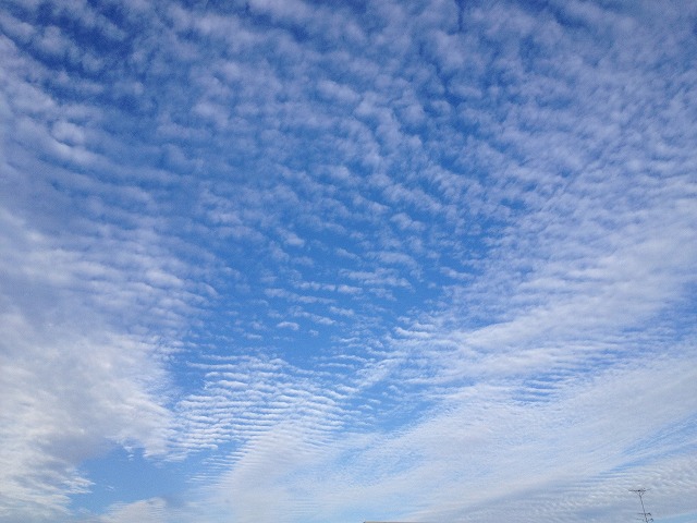 e0152990_21294348.jpg