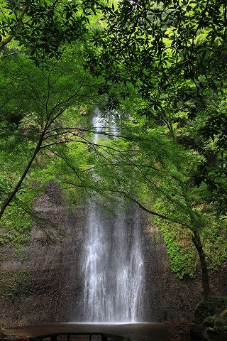 a0222494_13125667.jpg