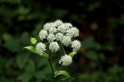 a0222494_13132815.jpg
