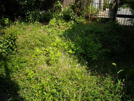 f0239100_00228.jpg