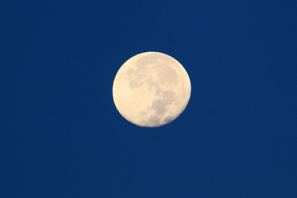 a0188405_14390560.jpg