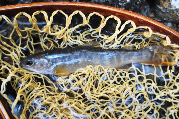 e0123808_2126827.jpg