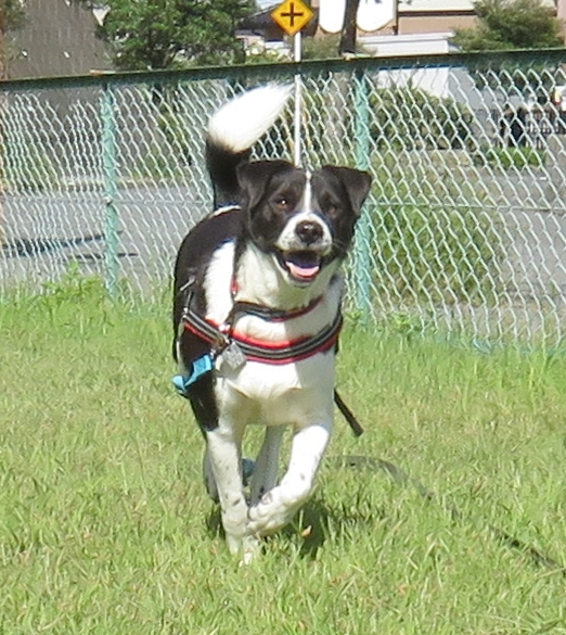 e0188009_10382777.jpg
