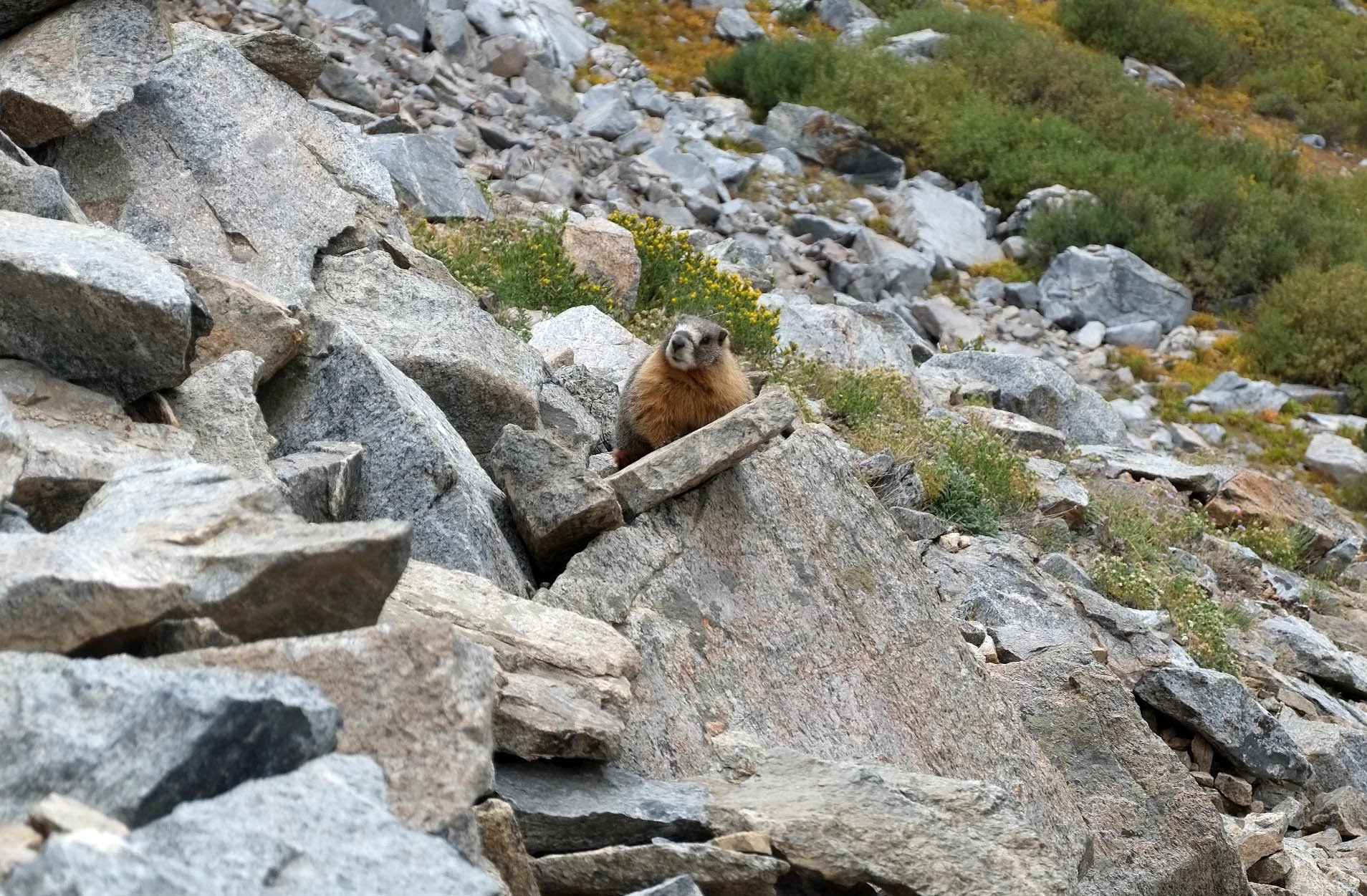 c0266710_20185036.jpg