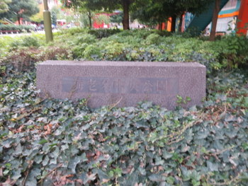 d0027711_10581937.jpg
