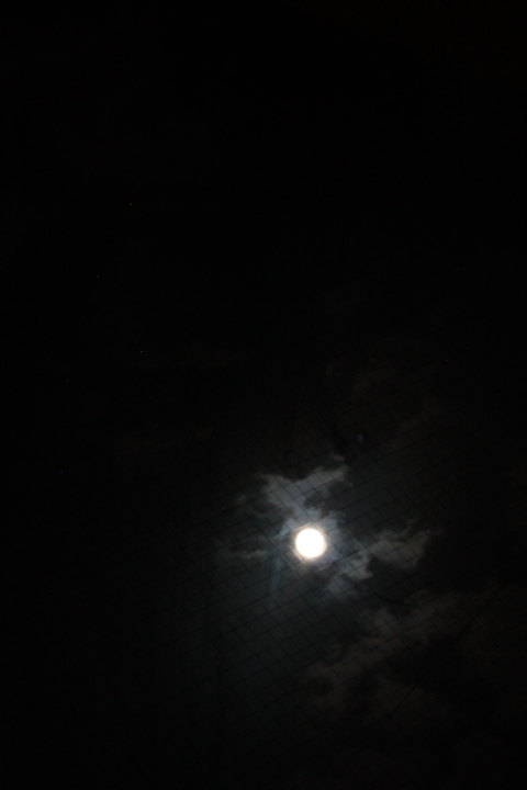 d0077811_21142921.jpg