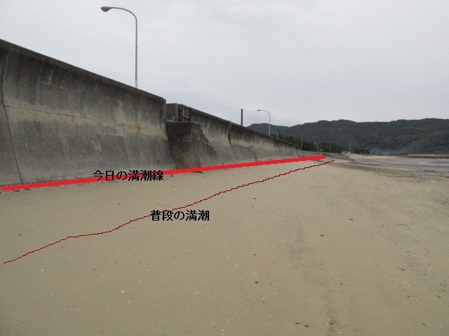 f0341616_18410961.jpg