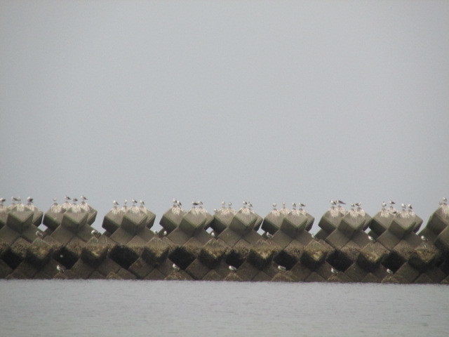 f0341616_18444978.jpg