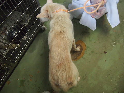 f0078320_2203163.jpg