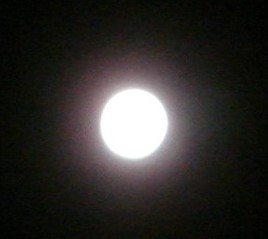 d0250123_22325586.jpg