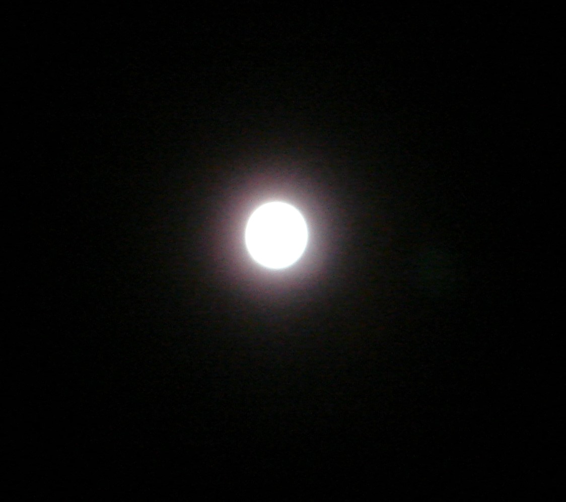 d0250123_22342036.jpg