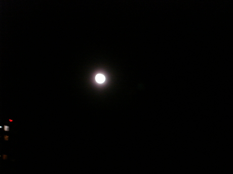d0250123_22392056.jpg