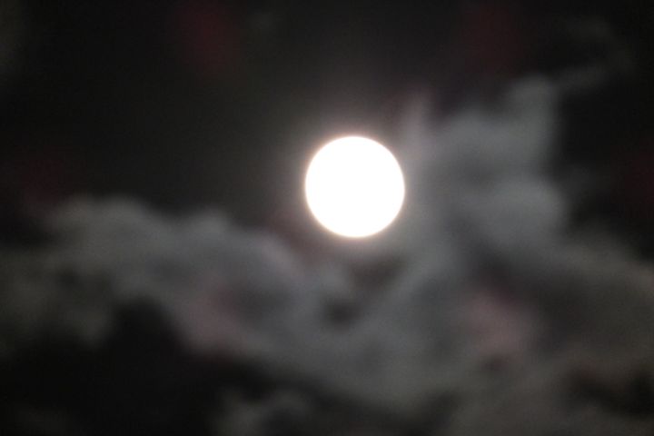 a0166324_0224548.jpg