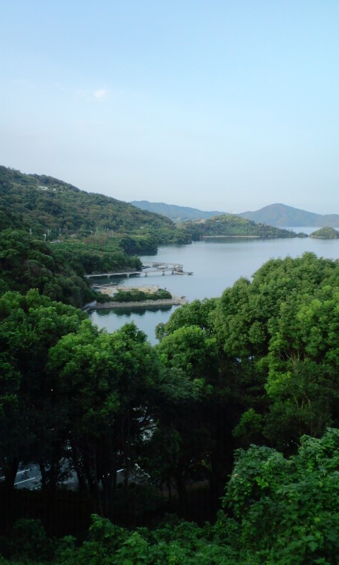 e0050324_17543380.jpg